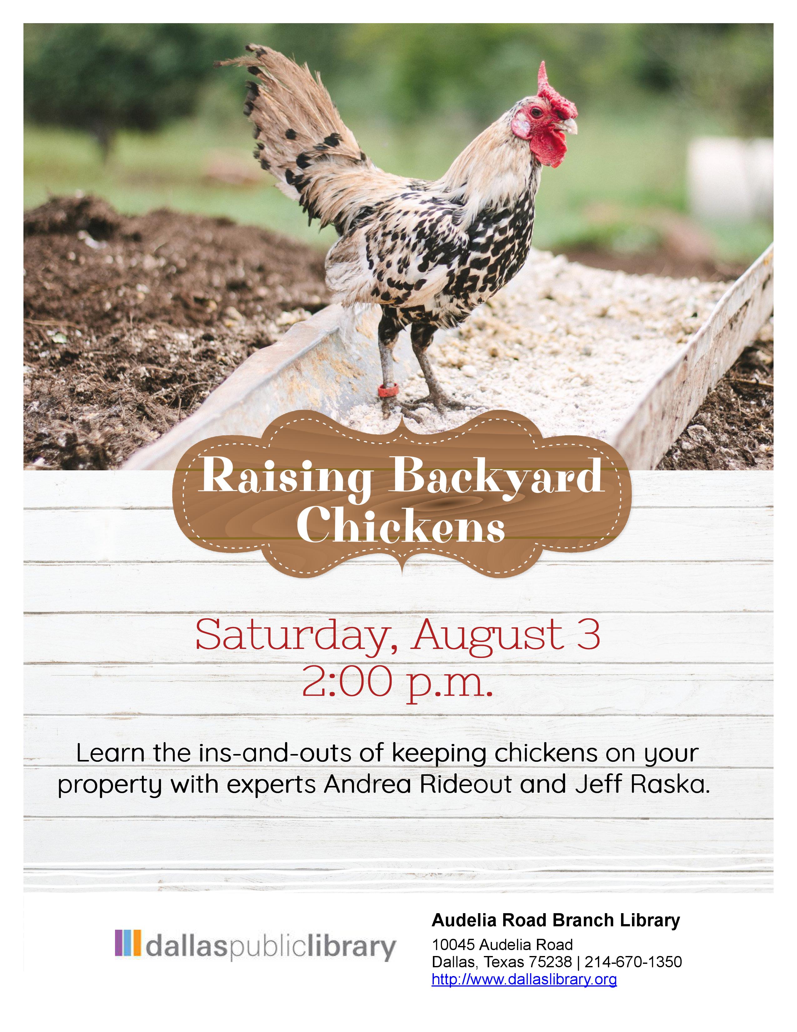 Raising Backyard Chickens Flyer