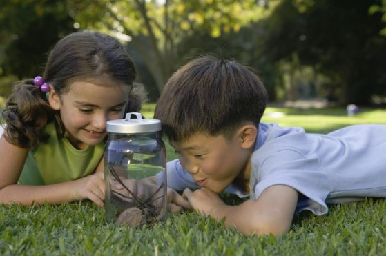 Two young children lying on the grass examining a jar with twigs in it