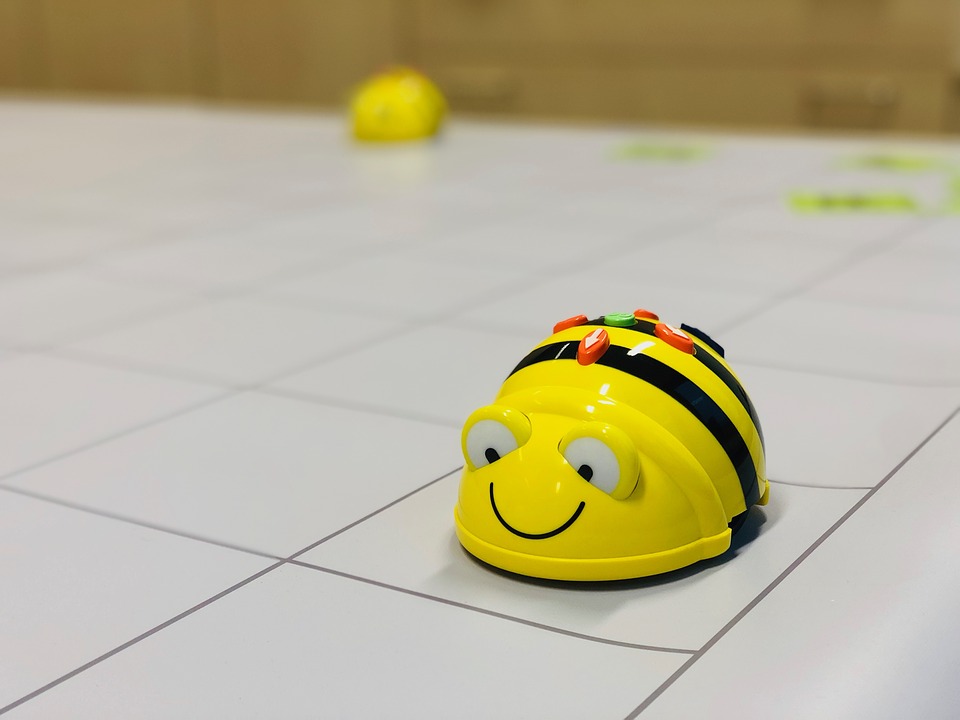 Beebot on a Grid