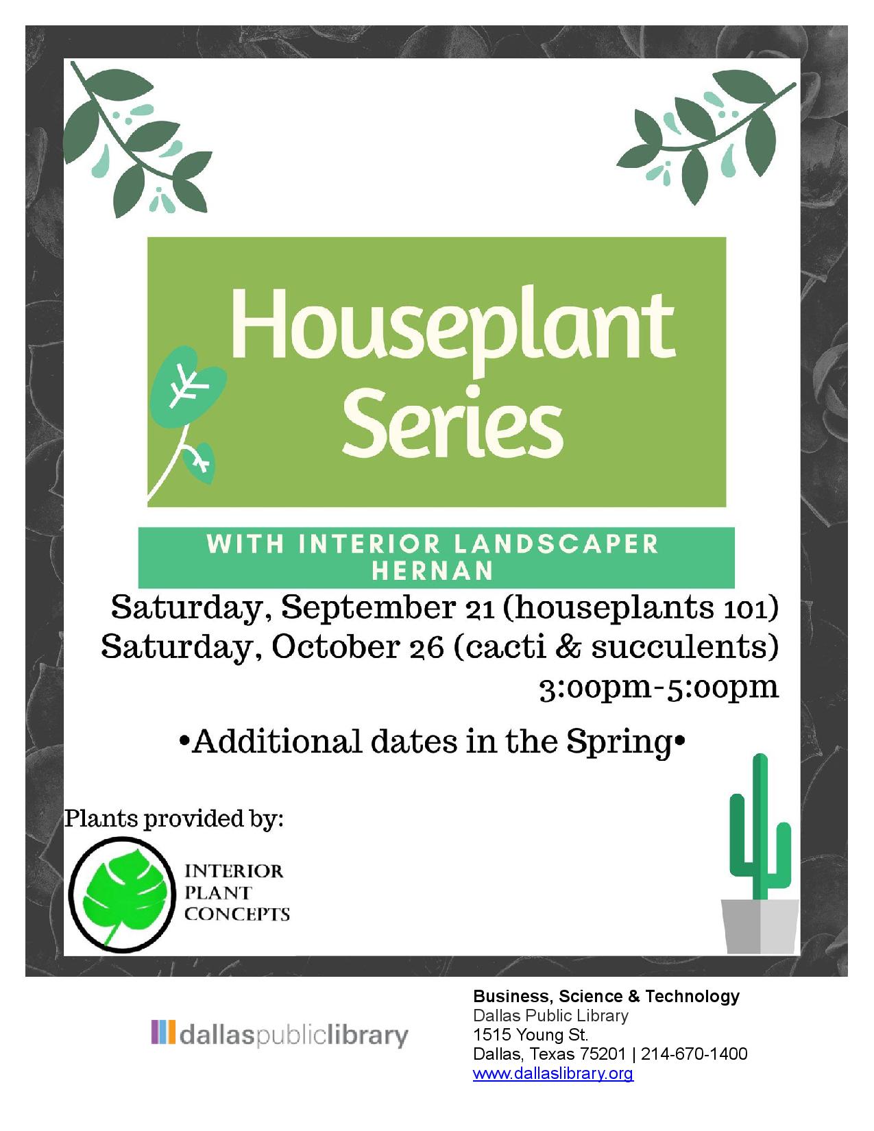 Houseplant Series - learn the basics to maintain your plants at home