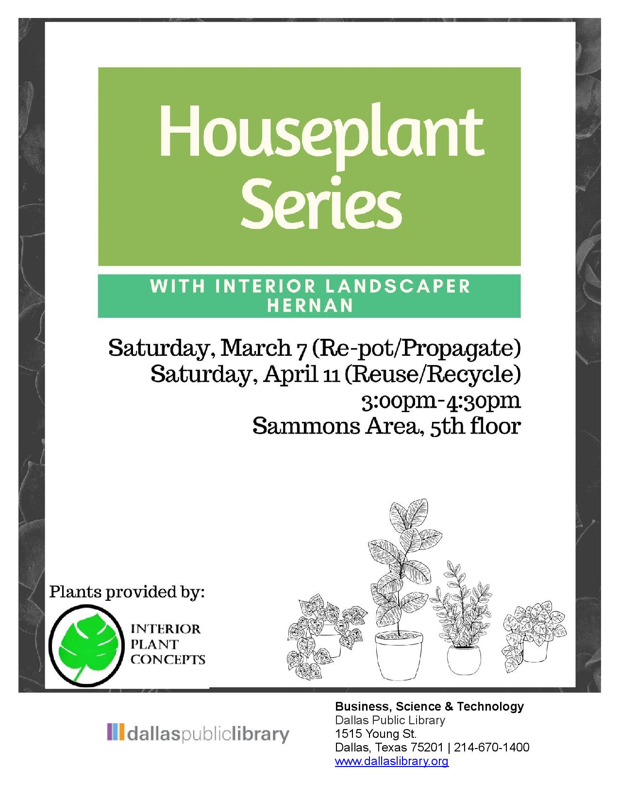 Houseplant Series - learn how to re-pot and propagate your plants at home.