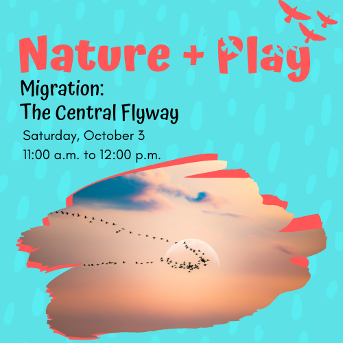 Nature + Play Migration: The Central Flyway Cover Graphic