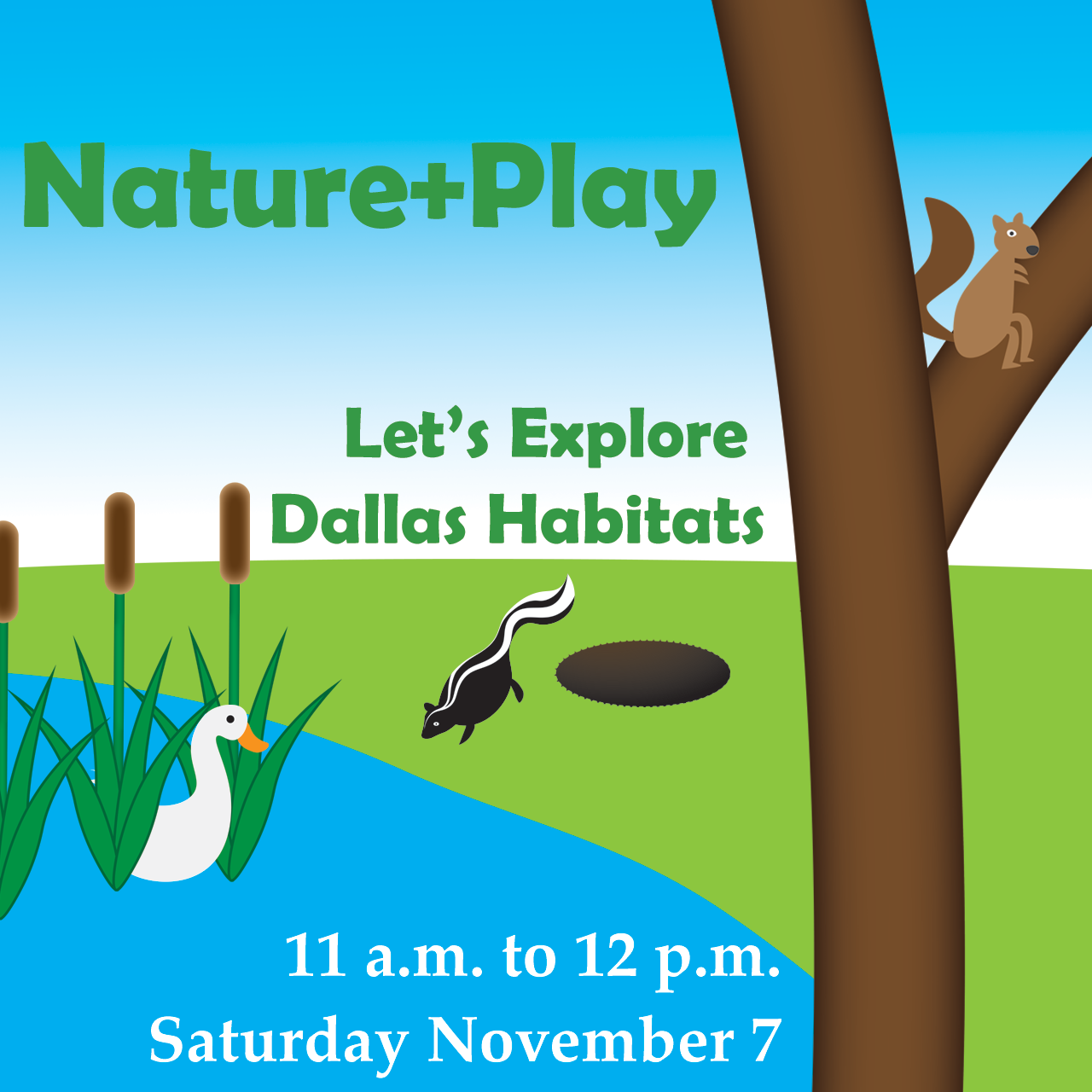 Nature + Play: Let's Explore Dallas Habitats