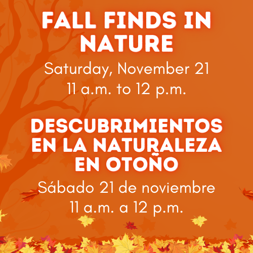 Fall Finds in Nature Cover Graphic