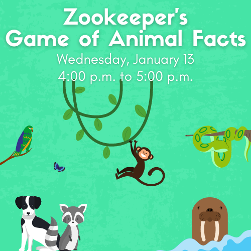 Zookeeper's Game of Animal Facts Cover Graphic