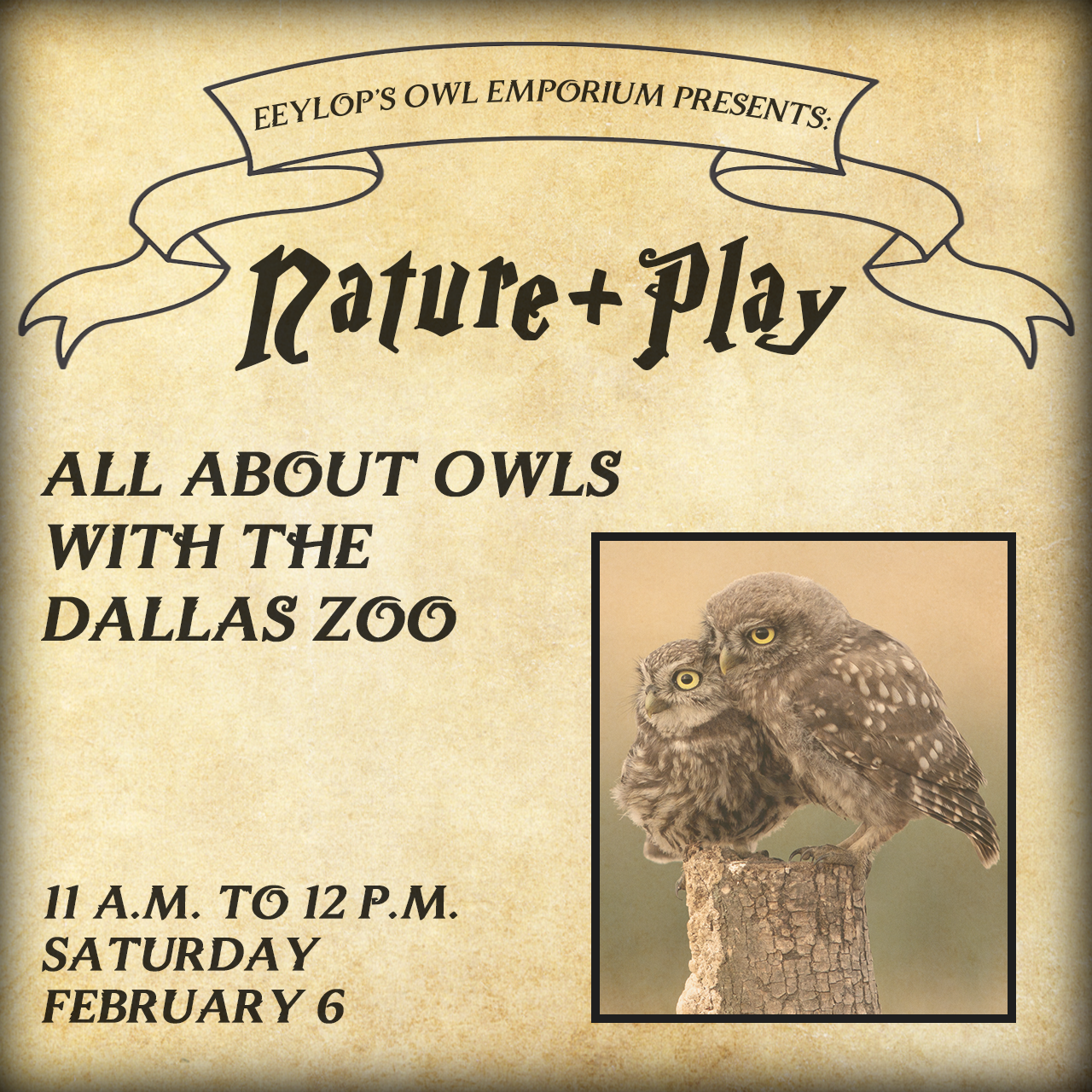 Nature + Play: All About Owls with the Dallas Zoo