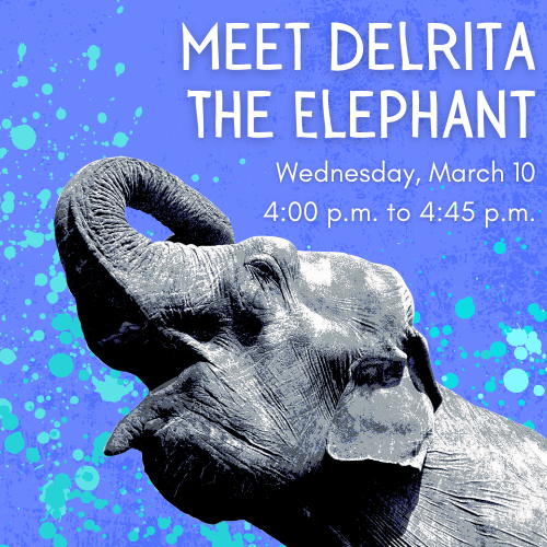 Meet Delrita the Elephant Cover Image