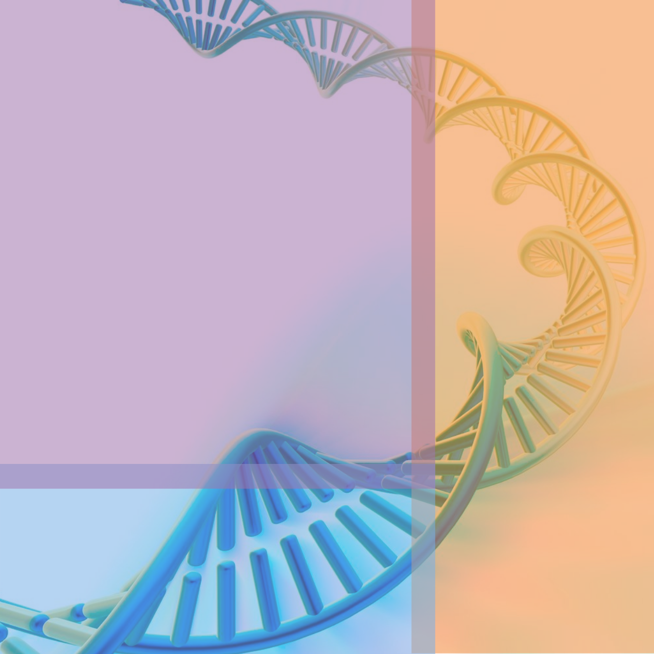 An image of a DNA strand overlaid with the Dallas Public Library Colors