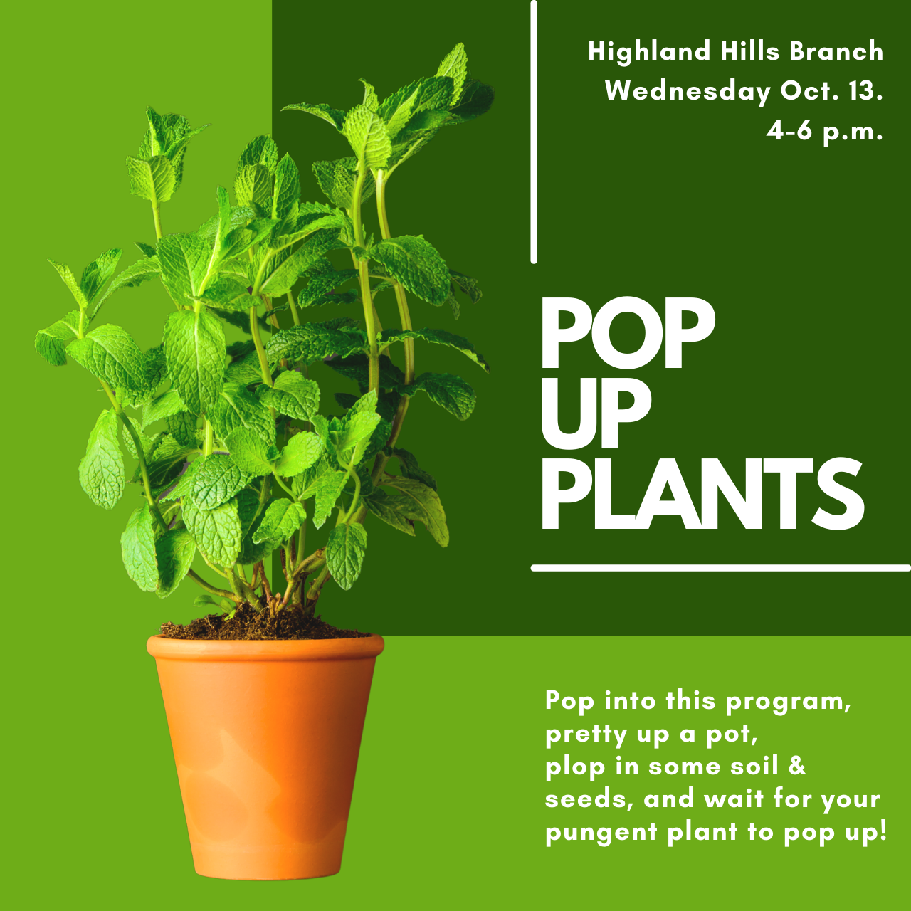 Pop Up Plants