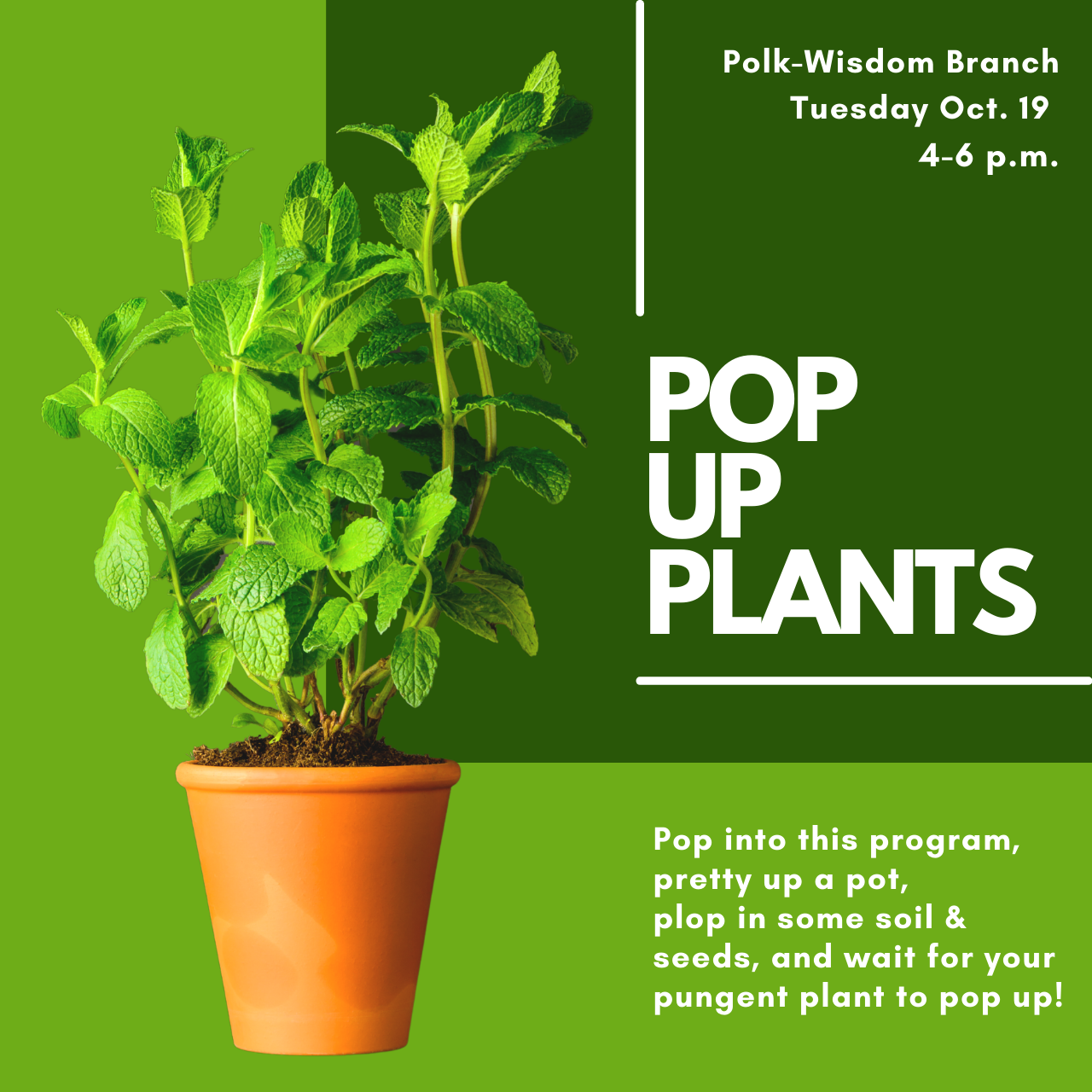 Pop Up Plants