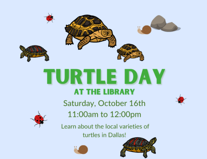 Turtle Day at the Library banner