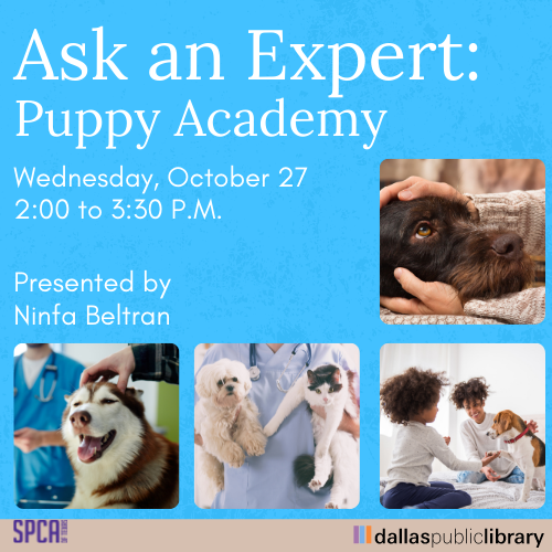 Ask an Expert: Puppy Academy Cover Image Featuring images of dogs with vets and event details