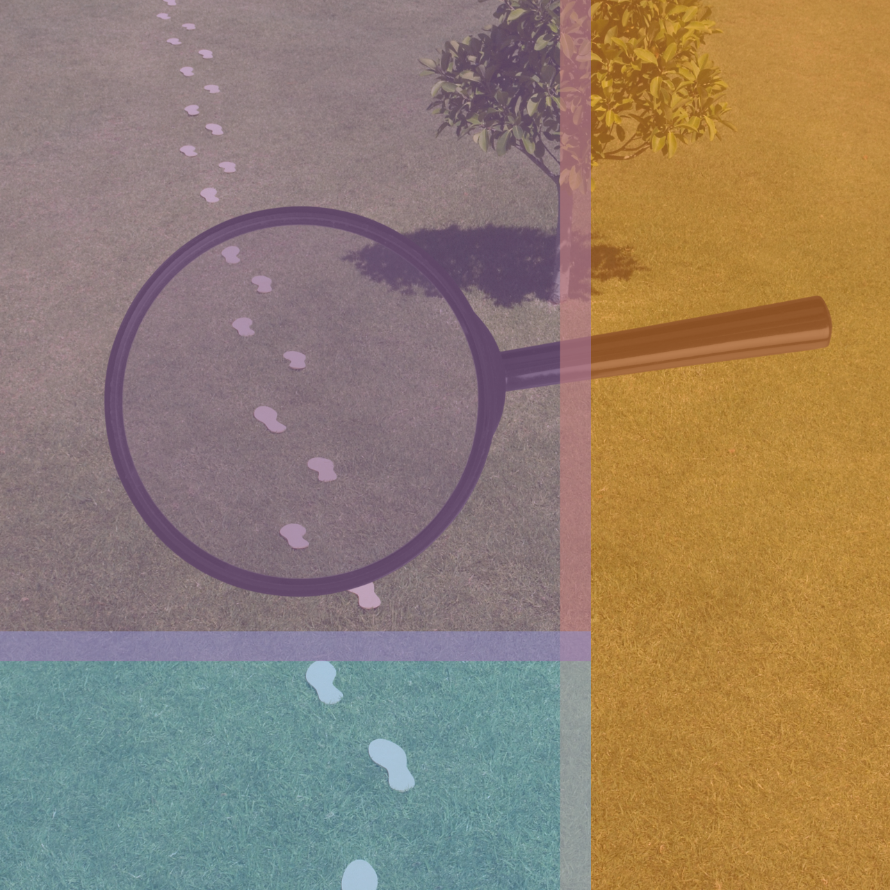 A magnifying glass and some footprints, overlaid with the library colors.