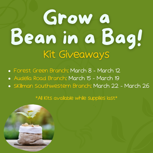 Grow a Bean in a Bag Kit cover image featuring kit information