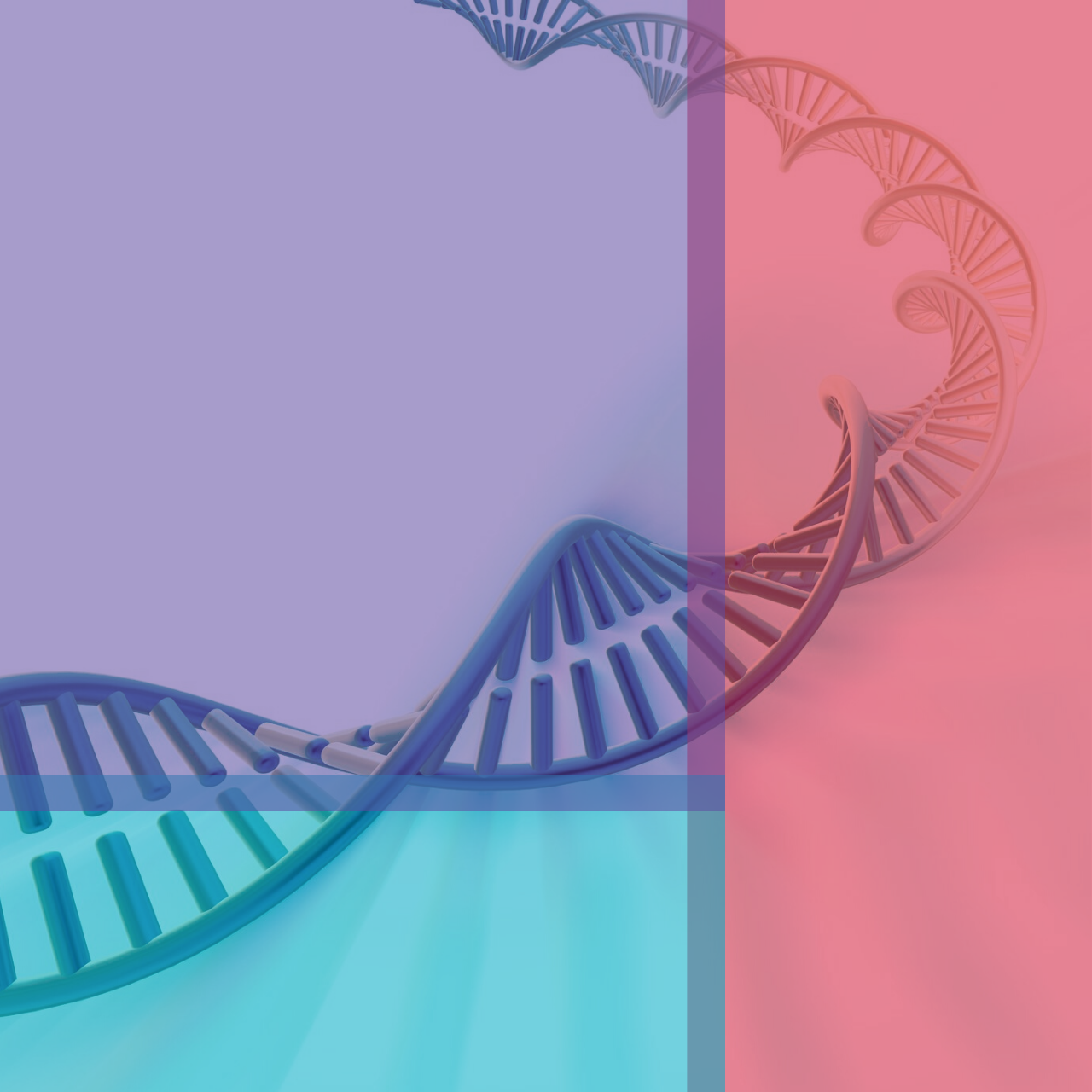 A DNA strand overlaid with the library's colors