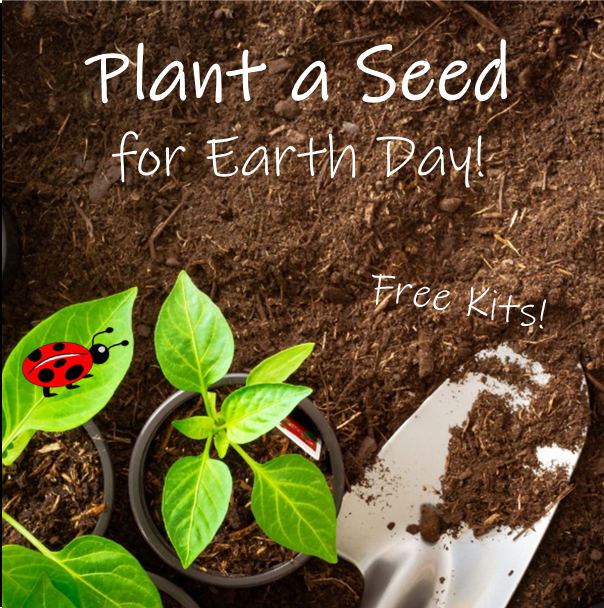 Plant a seed kit