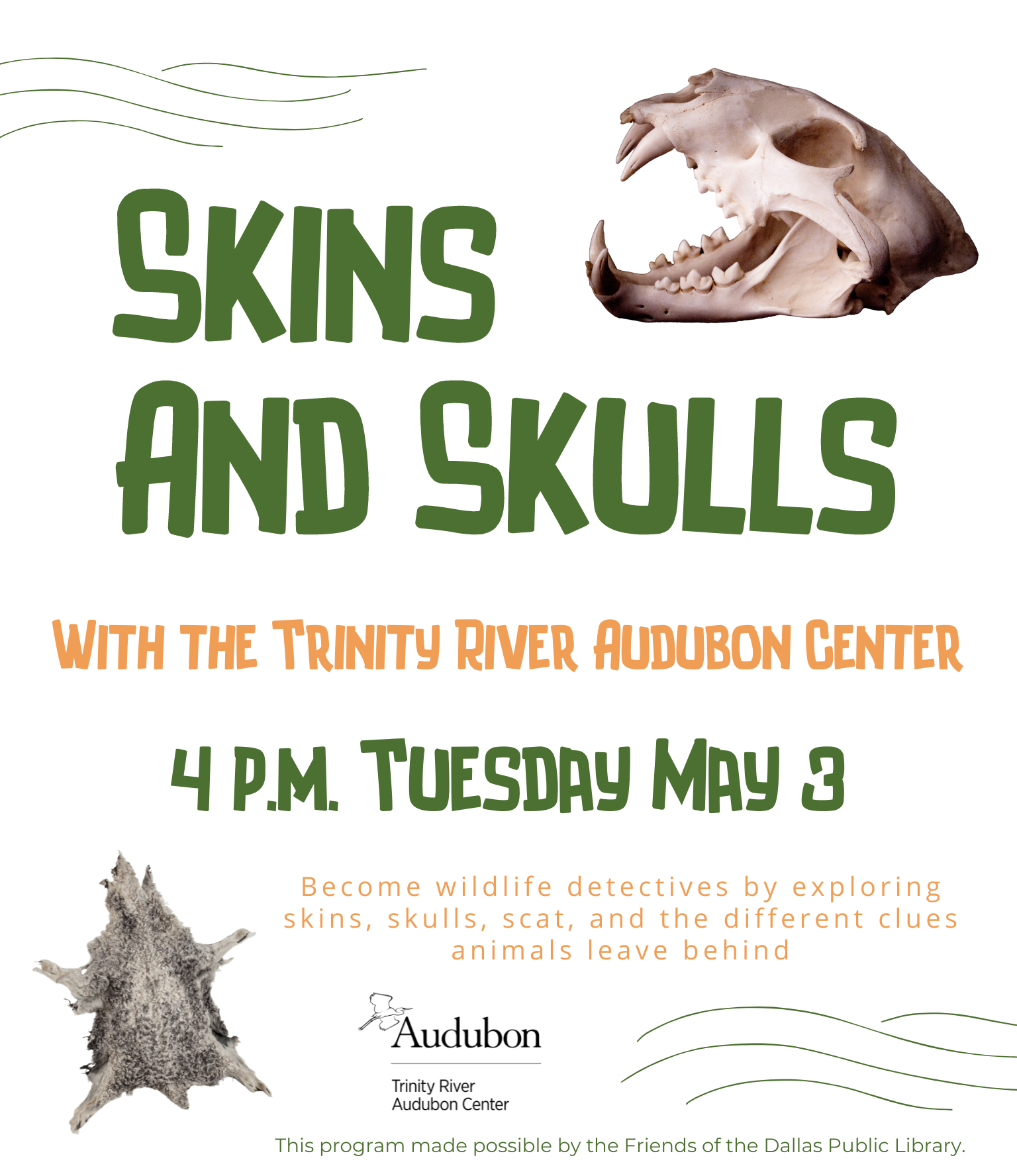 Skins and Skulls with the Trinity River Audubon Center