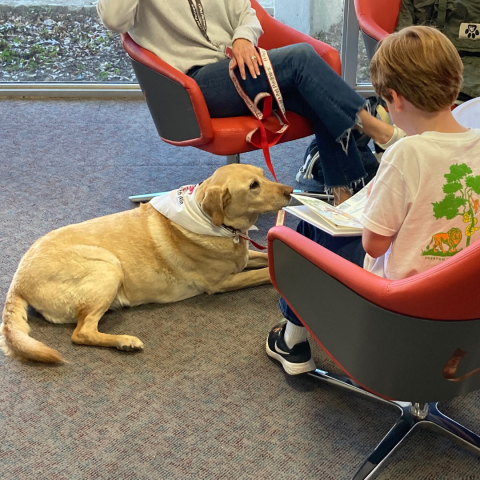Child reading to Roux, a registered therapy dog. 