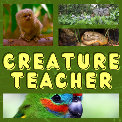 Creature Teacher Library Market Image