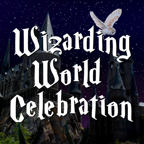 Wizarding World Celebration