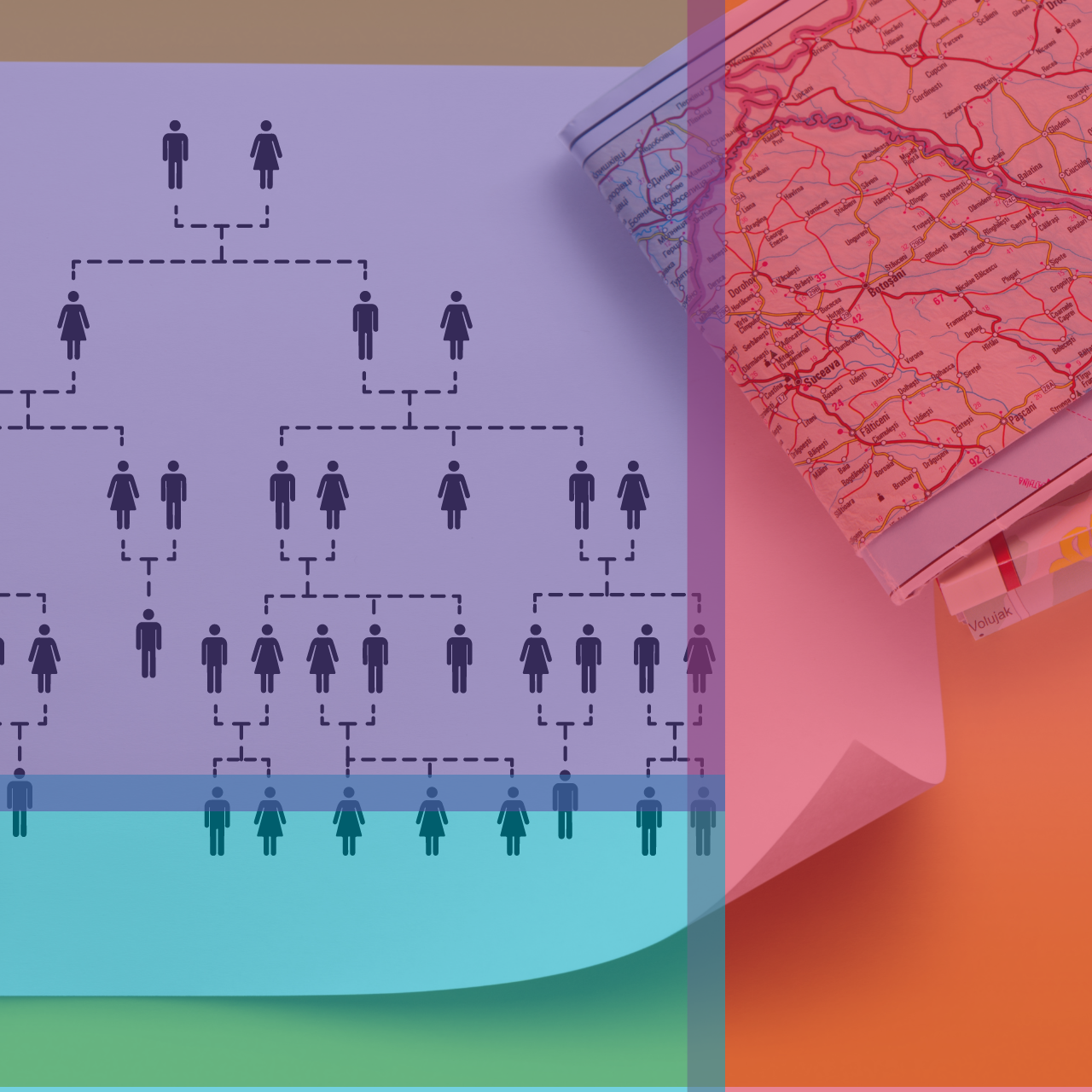 A family tree juxtaposed with a map, overlaid with the library colors.