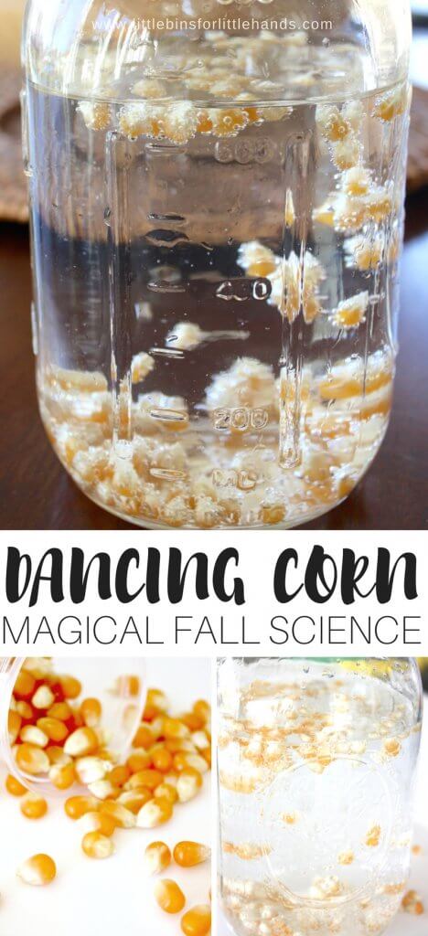 Dancing corn