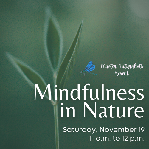 Mindfulness in Nature cover graphic