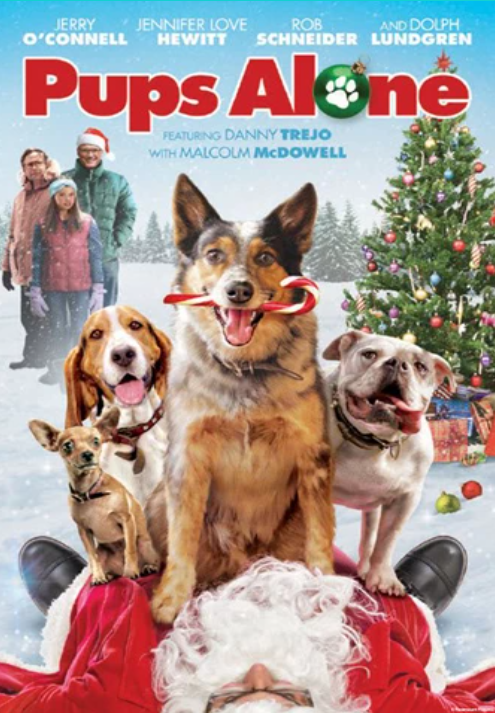 https://www.swank.com/public-libraries/details/66216-pups-alone?bucketName=Movies%20&%20TV&movieName=Pups%20Alone&widget=FILM-RESULTS-undefined