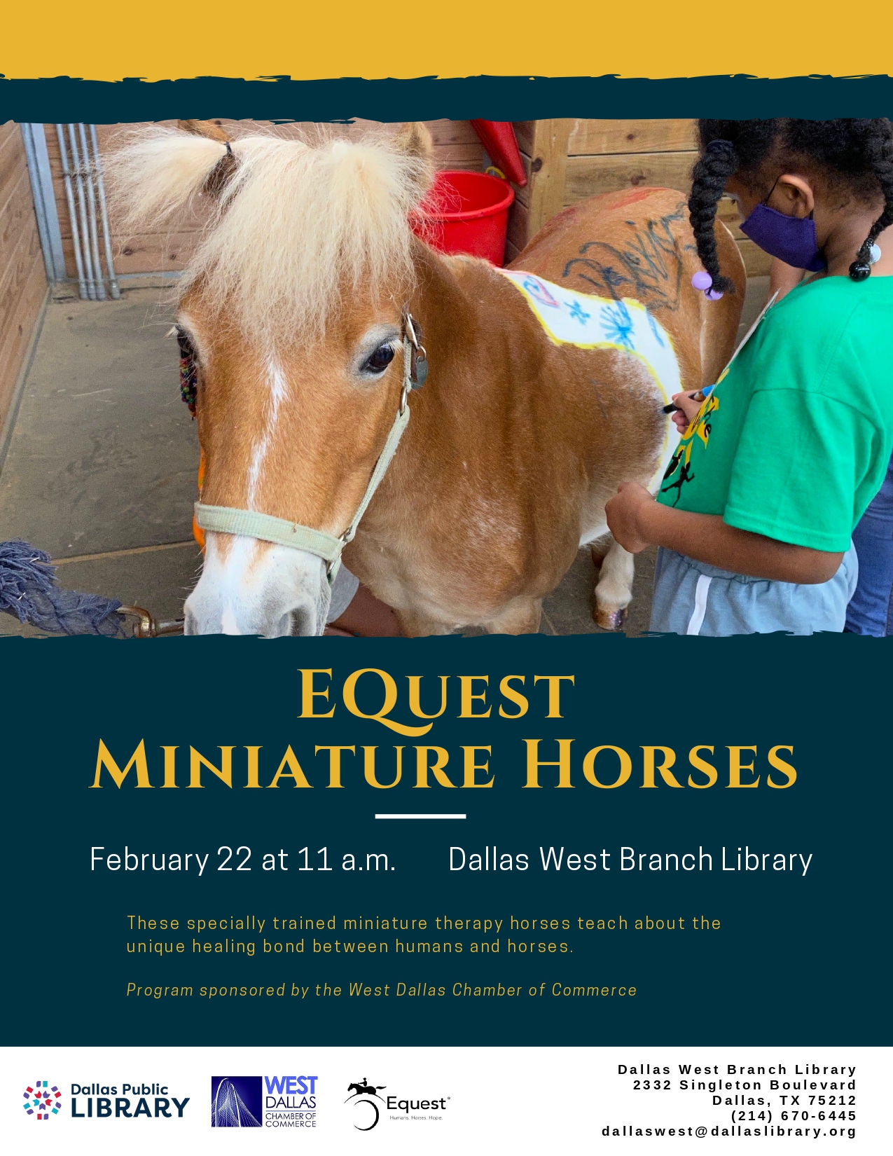 EQuest Miniature Horses 