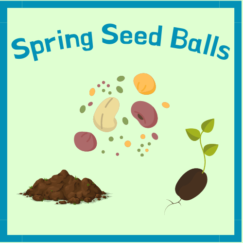 seed ball logo