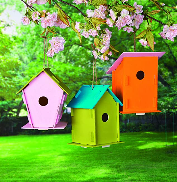 Painted bird houses
