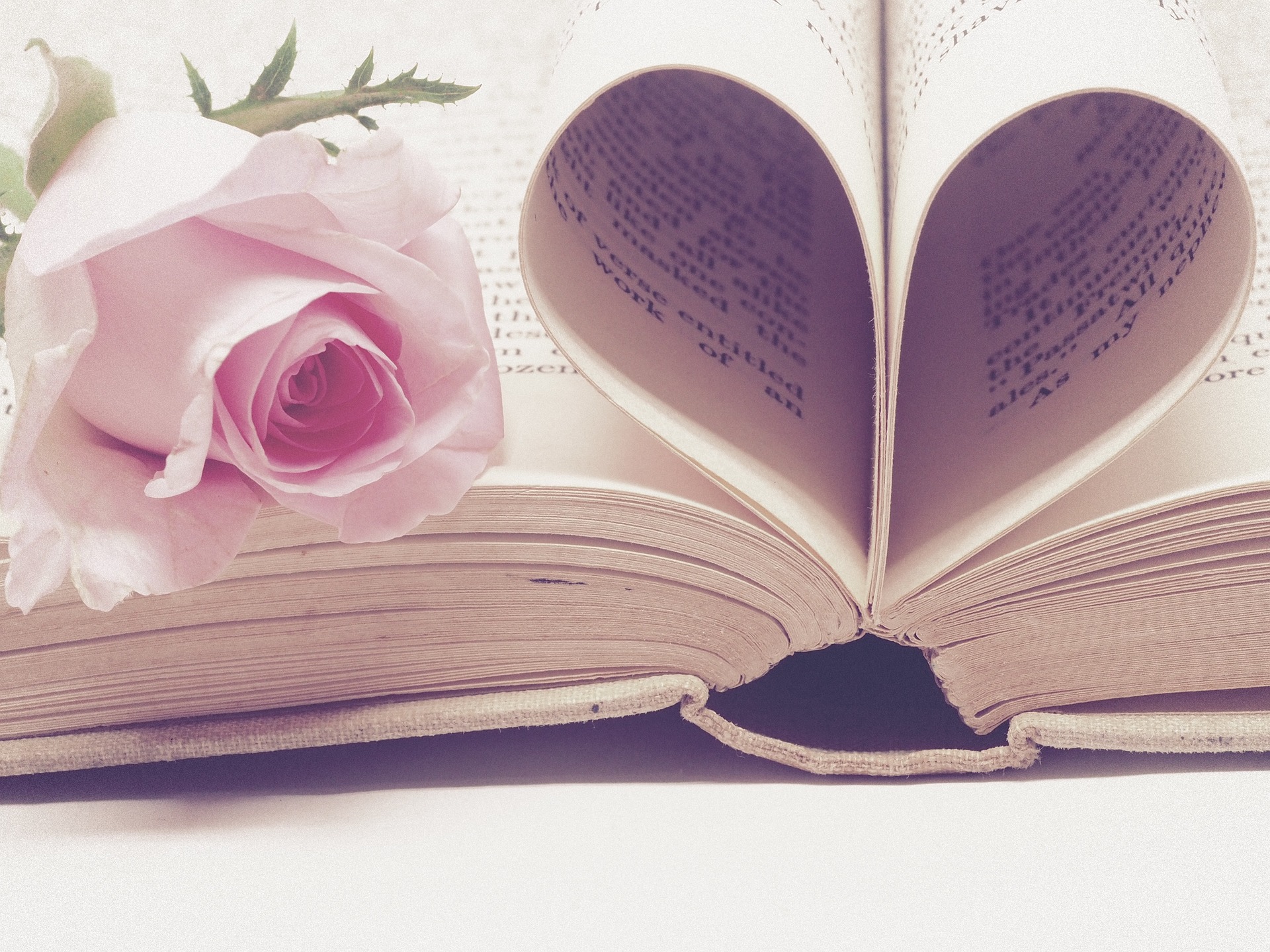 In soft focus: an open book with some of its pages folded up into the shape of a heart. A pink rose lies on the unfolded pages.
