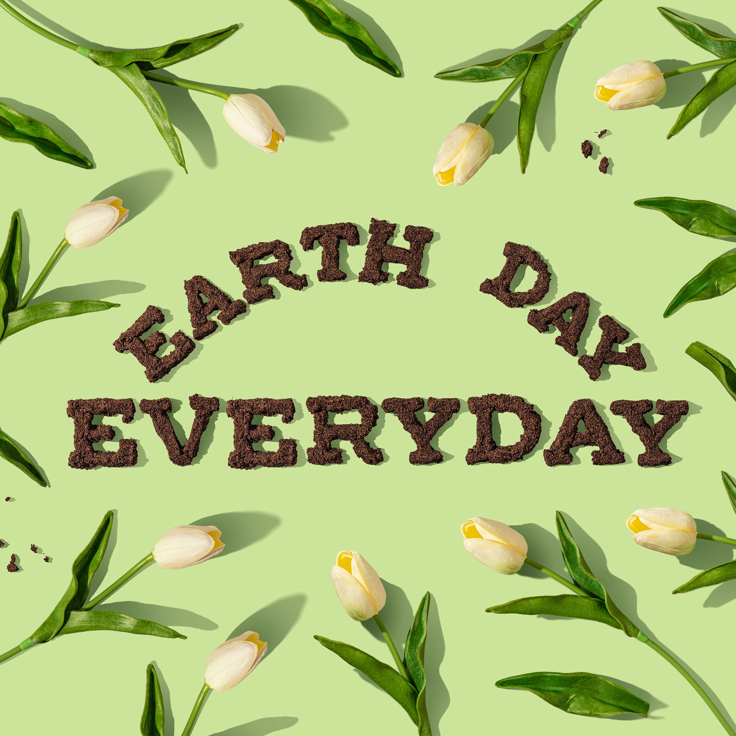 On a light green background, yellow flowers on their stems surround the words "Earth Day Everyday" in brown.