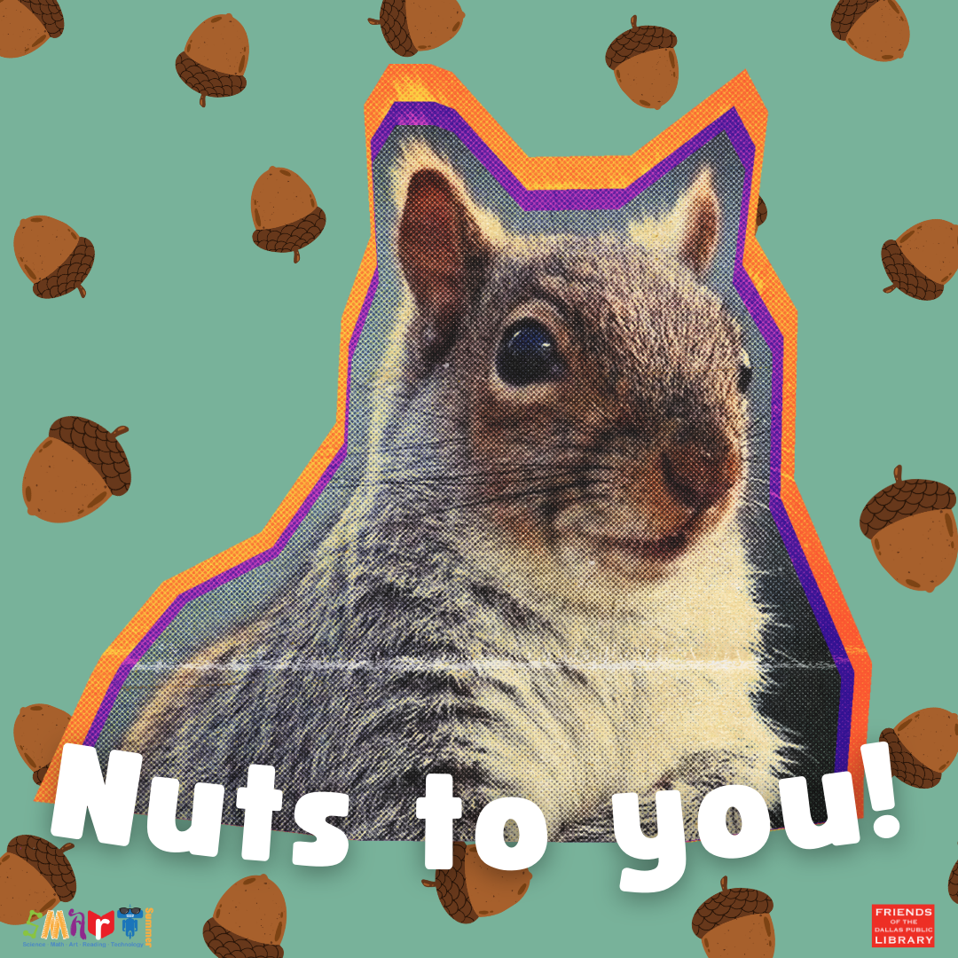 Nuts to You Cover Graphic