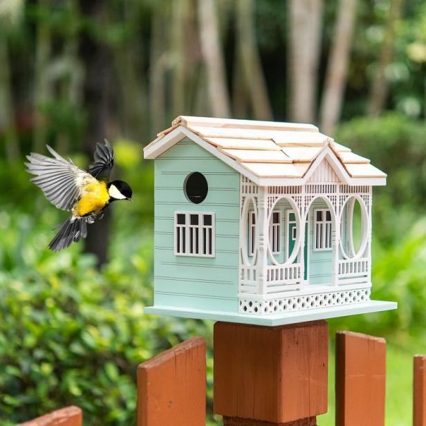 birdhouse and bird