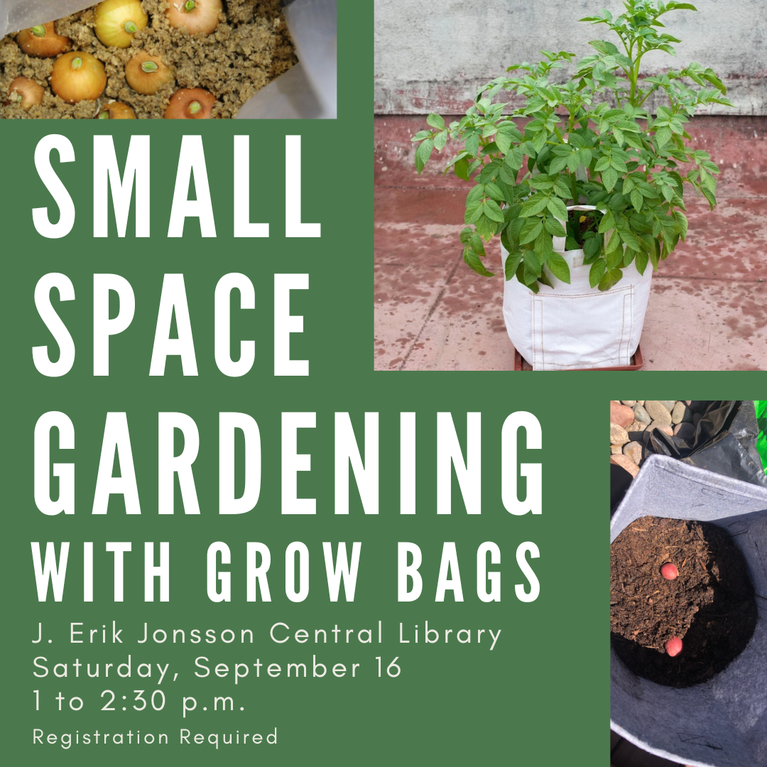 Small Space Gardening Cover Graphic