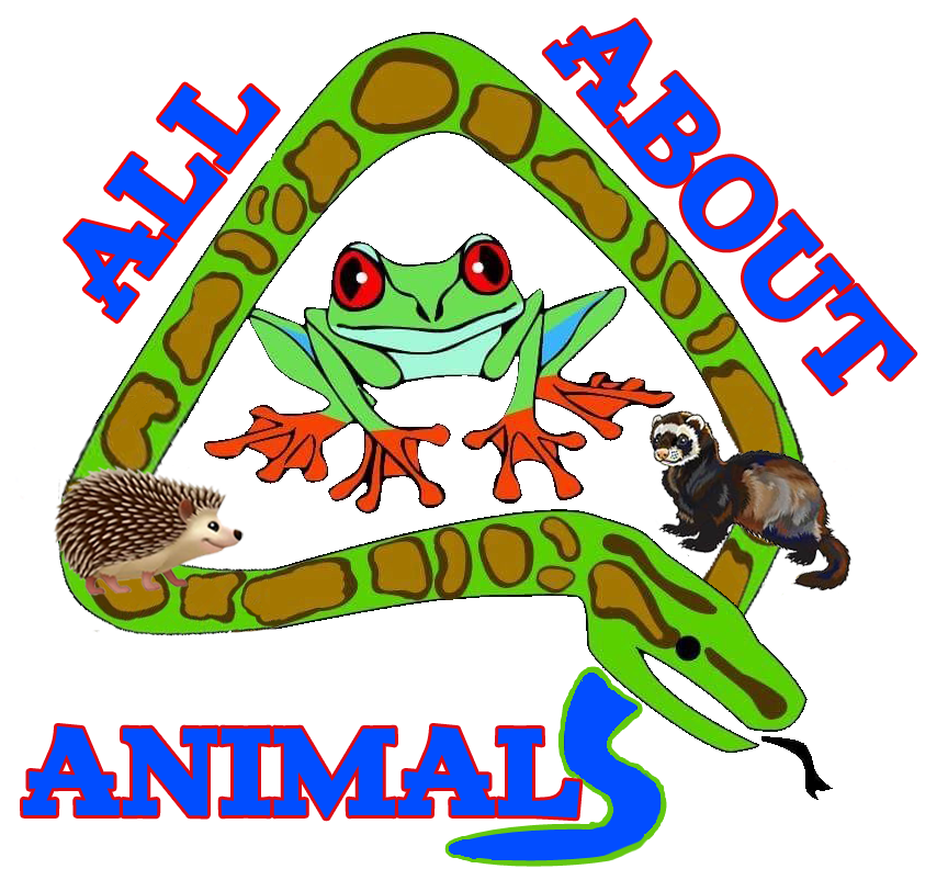 all about animals logo