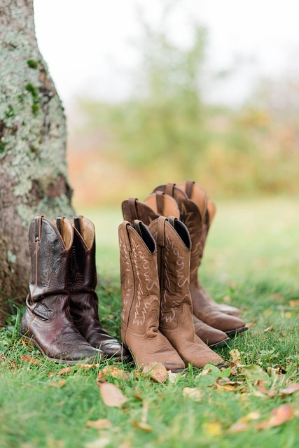3 Pairs of Brown Cowboy Boots Next to a Tree