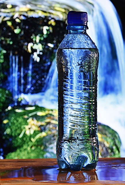 Filled Plastic Water Bottle in Front of Waterfall