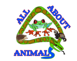 All About Animals Logo