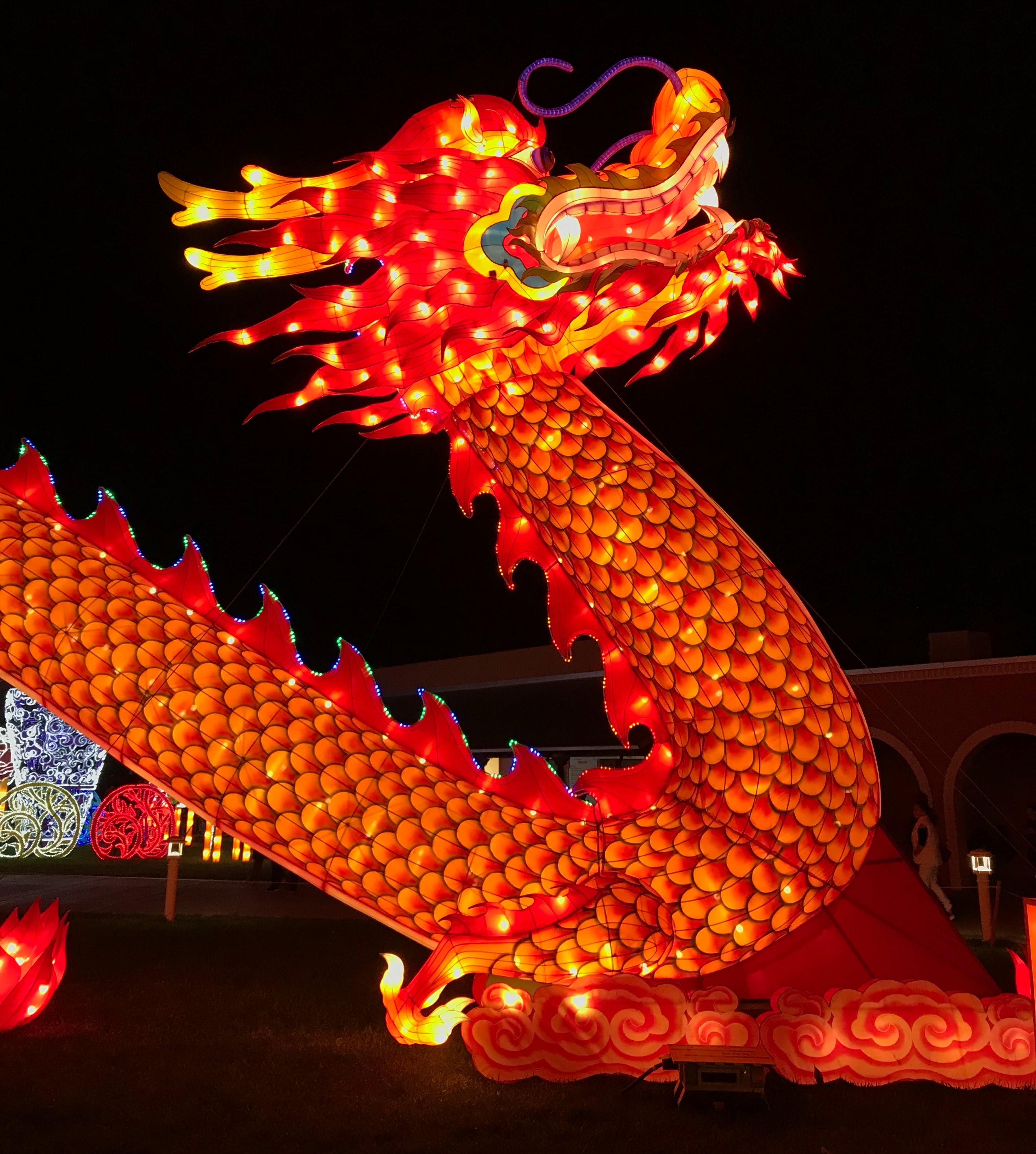 red chinese dragon on dark background