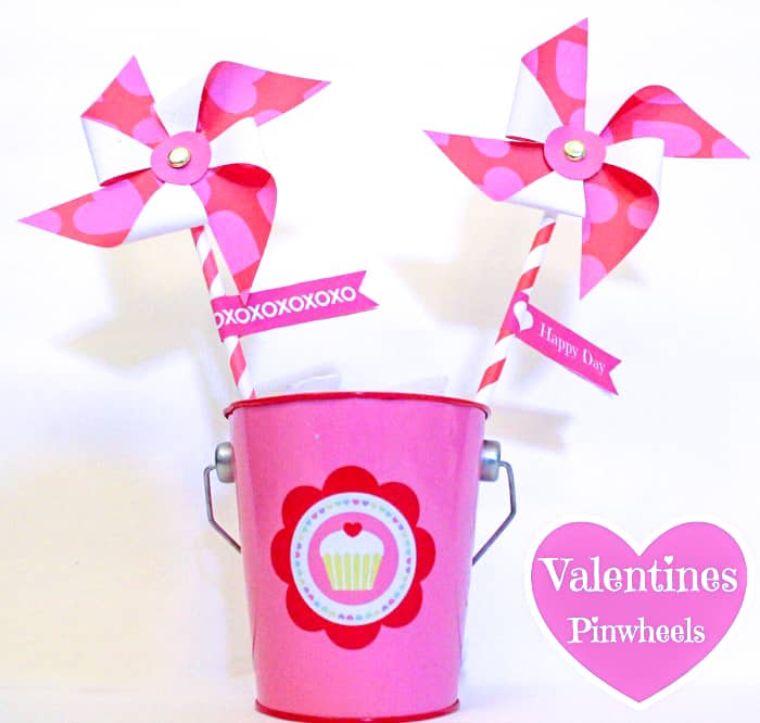 pink and red pinwheels in pink bucket
