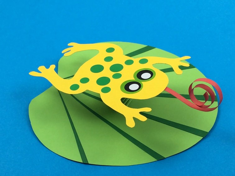 Leap Year Frog