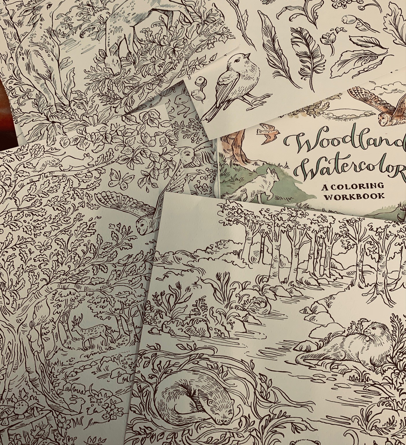 Watercolor Coloring Sheets