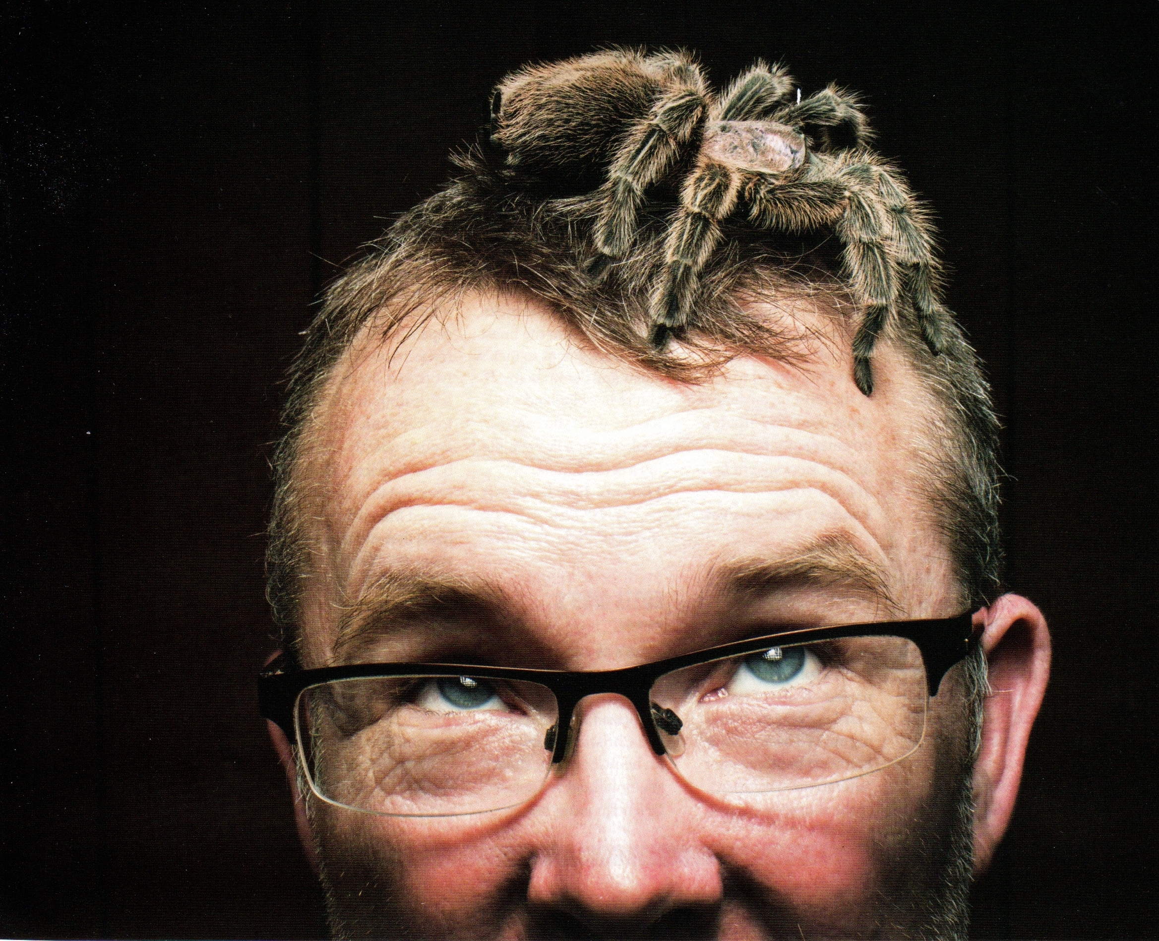 Critterman with a spider on his head