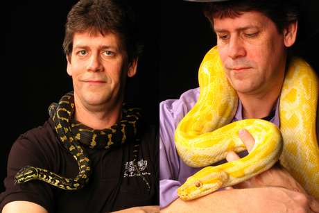 Herpetologist posed as a large snake is wrapped around his neck and draping from his shoulders.