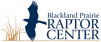 Black Prairie Raptor Center