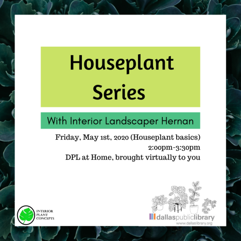 Houseplant Series with Interior Landscaper Hernan - Friday May 1 from 2-3:30. Learn houseplant basics.