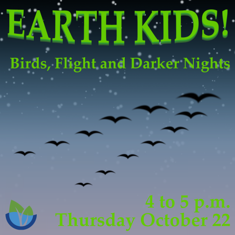 Earth Kids: Birds, Flight and Darker Nights