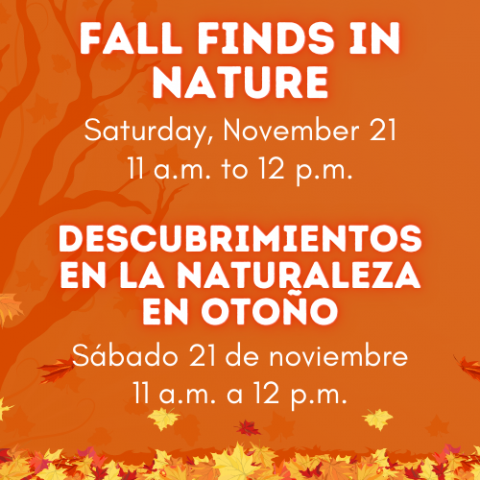 Fall Finds in Nature Cover Graphic